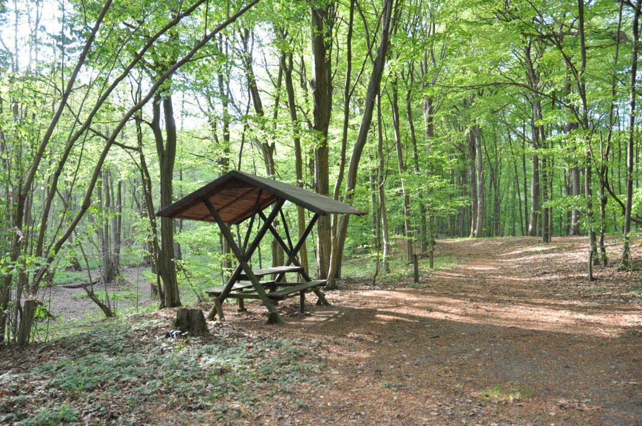 Ferienhaus Caselow 23 Bergholz Kültér fotó