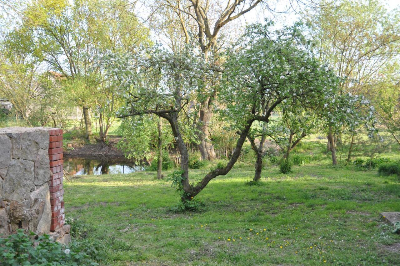 Ferienhaus Caselow 23 Bergholz Kültér fotó