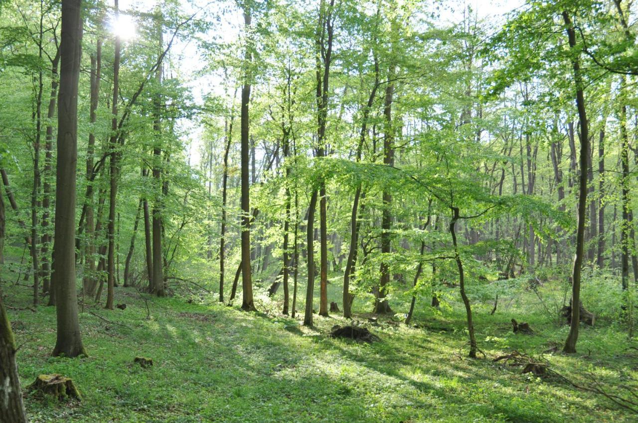 Ferienhaus Caselow 23 Bergholz Kültér fotó