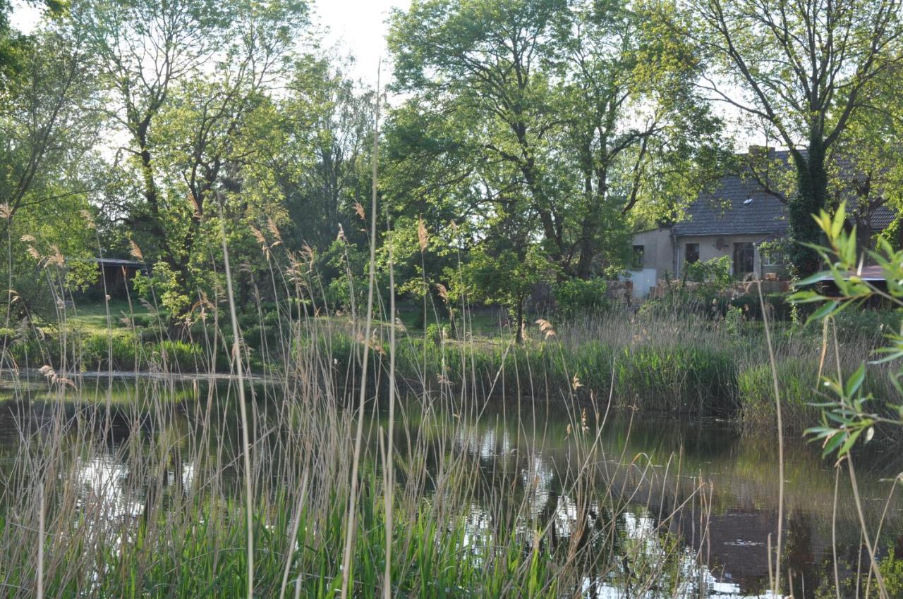 Ferienhaus Caselow 23 Bergholz Kültér fotó