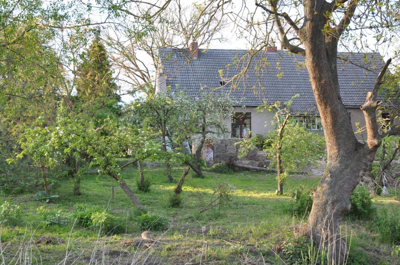 Ferienhaus Caselow 23 Bergholz Kültér fotó